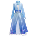 Ana Dress Frozen 2