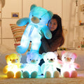 Glow Bears